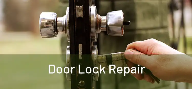 Door Lock Repair