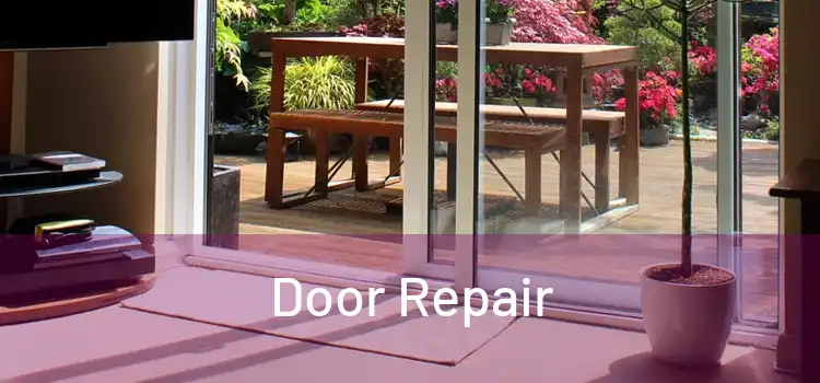 Door Repair